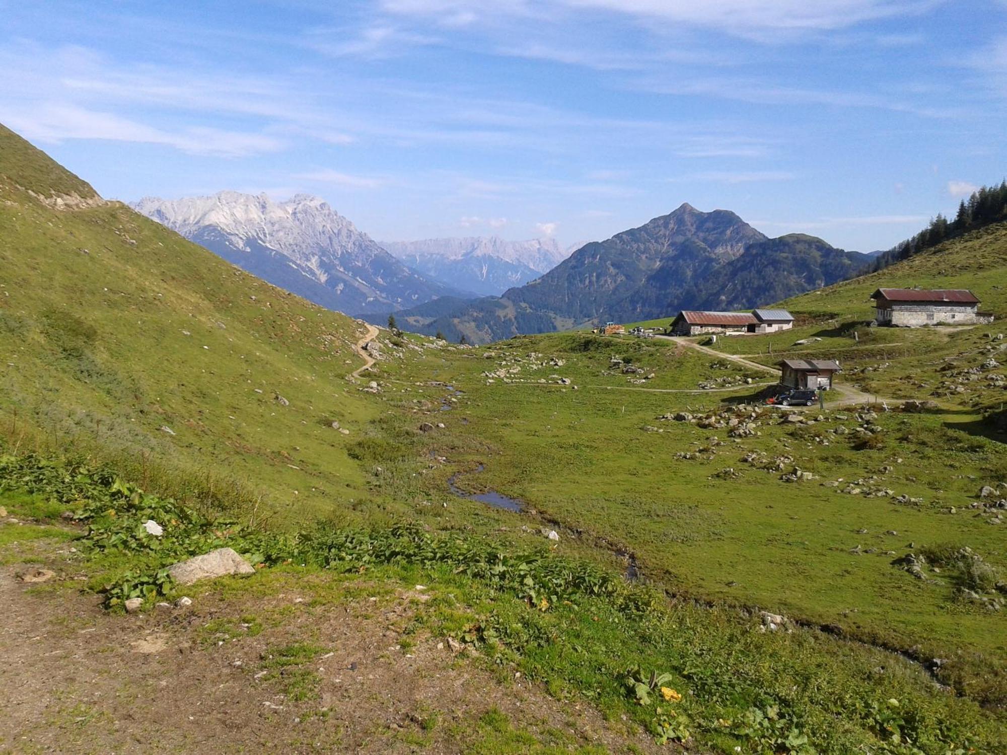 Ferienwohnung Biechl-Hauser Doris Sankt Ulrich am Pillersee Dış mekan fotoğraf
