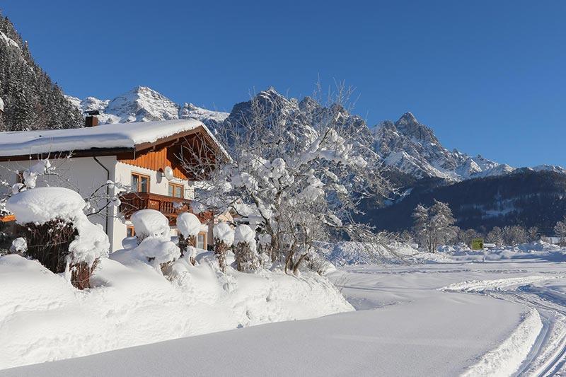 Ferienwohnung Biechl-Hauser Doris Sankt Ulrich am Pillersee Dış mekan fotoğraf